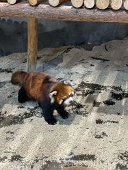 -Zoolung Zoolung动物主题公园(海信广场店)