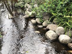 -成飞公园