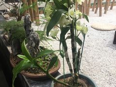 -稍可轩博物馆餐厅