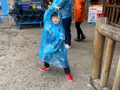 -南湖梦幻岛
