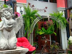 -Daddy Nimman Chiang Mai