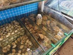-兴隆海鲜菜馆