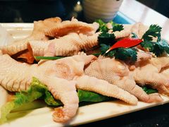 -一斗火锅·招财羊毛肚(北温泉九号店)