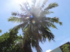 -三亚南山文化旅游区