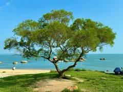 -佳丽海鲜大酒楼(环岛海景店)