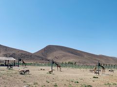 -新疆天山野生动物园