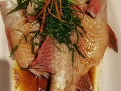 -彩丰楼中餐厅·早茶·点心·粤菜(海口华彩洲际酒店)