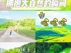 -百里天路