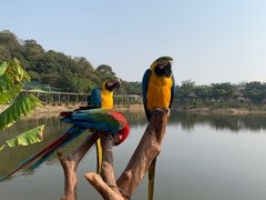 -李小龙乐园(顺德均安店)