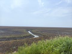 -红海滩国家风景廊道
