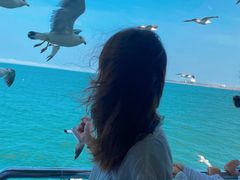 -海驴岛(荣成市)