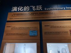 -青岛海底世界-水族馆
