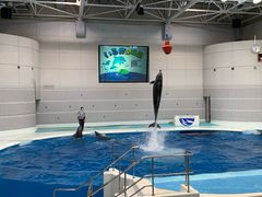 -鹿儿岛水族馆