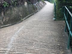 -南丫岛