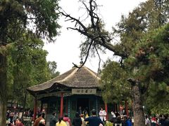 -南阳卧龙岗武侯祠