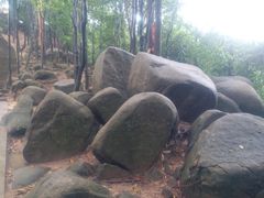 -火炉山森林公园