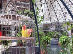 -味餐厅·海鲜·火锅·自助餐