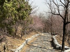 -阳台山自然风景区