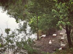 -黄陂区野村谷景区