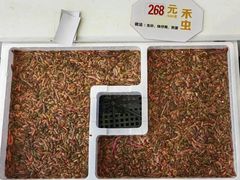 -益利大酒楼(井岸店)