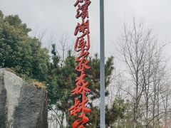 -合肥滨湖国家森林公园