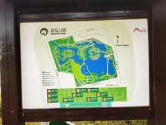 -大兴滨河森林公园