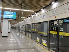 -同济大学(地铁站)