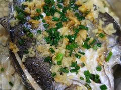 -石岐乳鸽村(桥观坊南四巷店)