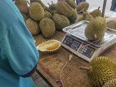 -阿龙榴莲摊