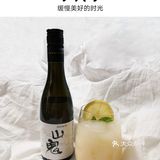 🆙想一口气喝完的自制清爽夏日微醺冰饮