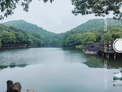 -白马涧龙池景区