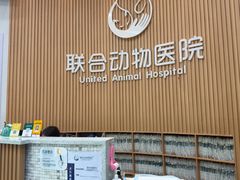 -联合动物医院(光谷诊疗中心)