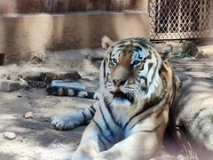 -昆明动物园