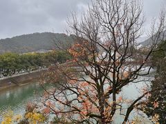 -溪口-滕头旅游景区