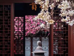 -西安青龙寺遗址景区