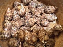 -隅乐胡椒虾·台湾菜·团建(皇岗店)