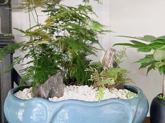 -万卉源鲜花店(百尚生活广场店)