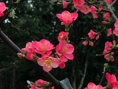 -沐仙湖湿地公园