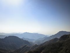 -大岭沟猕猴桃谷风景区