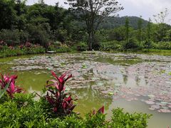 -大屏嶂森林公园