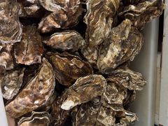 -宾朋海鲜饭庄(兴海路店)