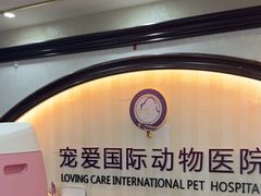 -宠爱国际动物医院·消化内科·心肾内科·ISFM猫友好(望京店)
