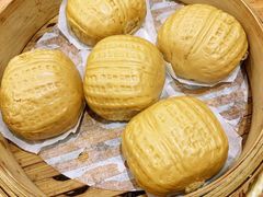 -石锅先生