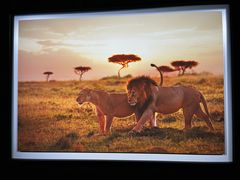 -罗红摄影艺术馆