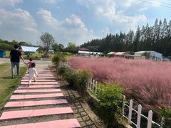 -嘉北郊野公园