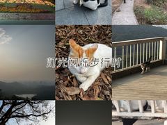 -广州市白云山风景名胜区
