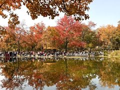 -西山人家·传统苏帮菜·家宴(木渎店)