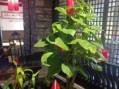 -红蜡烛-养生粥-津鲁菜(中山路店)