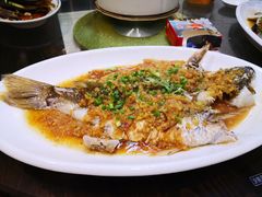 姜汁蒸西江剂鱼-八仔大富楼·河鲜(西江店)