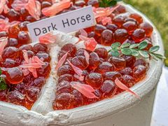 -Dark Horse·黑马蛋糕·低脂·低糖淡奶(金匙望湖大厦店)